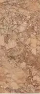 R8MZ Breccia Pernice GL RT 120x278