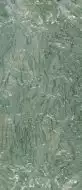 R8NJ Incanto Verde Antigua Glossy Rett 120x278
