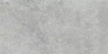 RAFW Керамогранит Richmond Silver Rett 60x120