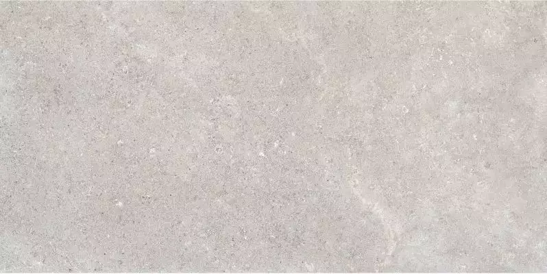 RB92 Керамогранит Coquille Gris Matt-Pro Rett 60x120