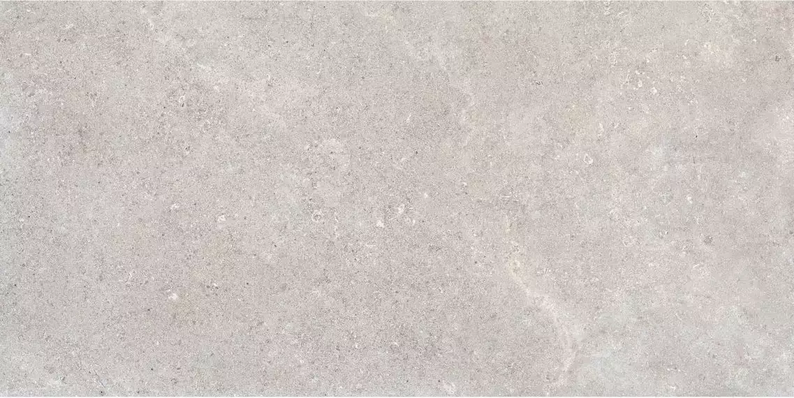 RB92 Керамогранит Coquille Gris Matt-Pro Rett 60x120