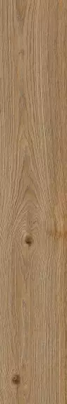 RC6Q Керамогранит Secret Rovere RT 20х120
