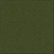 REGIS VERDE BOTELLA 20*20