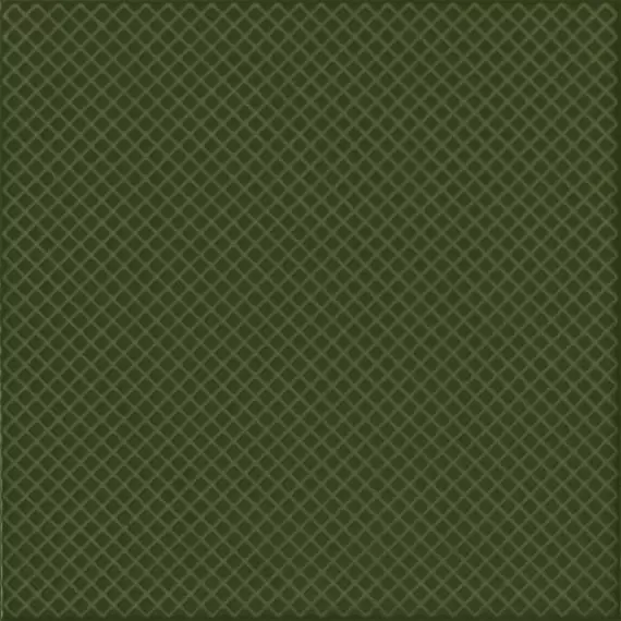REGIS VERDE BOTELLA 20*20