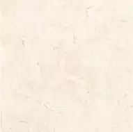 RO01W32388 Trevi Cream RC 59x59