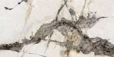 ROYAL BLACK HIGH GLOSSY 60x120