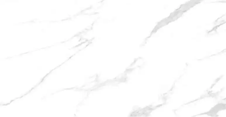 ROYAL CARRARA polished 60x120