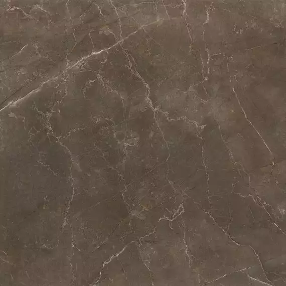 ROYAL PULPIS KHAKI Rektifiye Parlak Nano 80X80