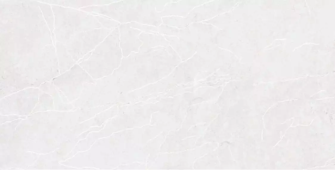 RS 1029 White Carving 60х120