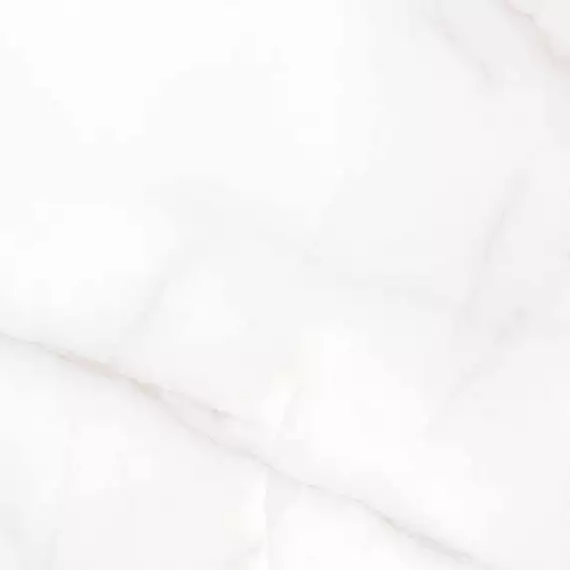 RT6004-A Керамогранит Feather Onyx Matt Rustic 60x60
