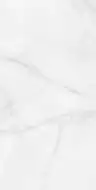 RT7012-A Керамогранит Feather Onyx Matt Rustic 60x120