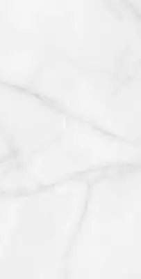 RT7012-A Керамогранит Feather Onyx Matt Rustic 60x120