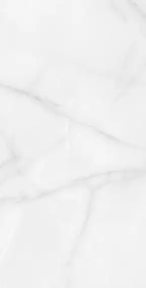 RT7012-A Керамогранит Feather Onyx Matt Rustic 60x120