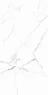 RT7018-A Керамогранит Carrara White Matt Rustic 60x120