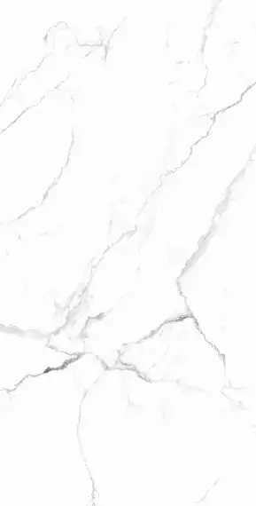 RT7018-A Керамогранит Carrara White Matt Rustic 60x120