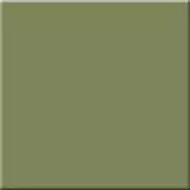 RW 06 Rainbow полированный 60х60