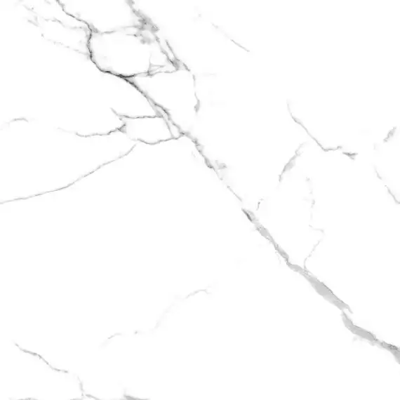 R_NR1001 Керамогранит Calacatta Venatino Matt 60x60