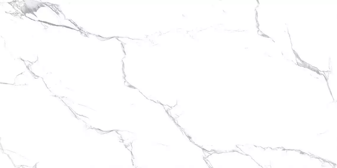 R_NR2000 Керамогранит Unico White Matt 60x120