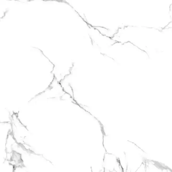 R_PR1001 Керамогранит Calacatta Venatino Polished 60x60