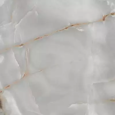 R_PR1014 Керамогранит Lasa Gold Polished 60x60