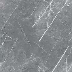 R_PR1019 Керамогранит Carnico Grey Polished 60x60