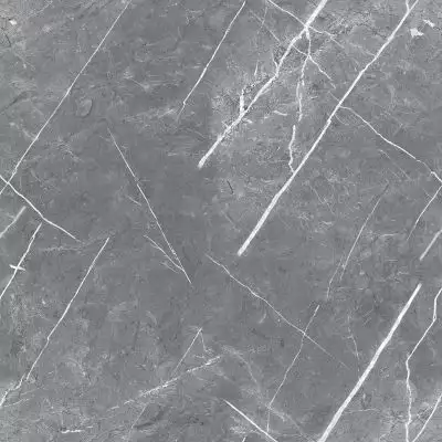 R_PR1019 Керамогранит Carnico Grey Polished 60x60