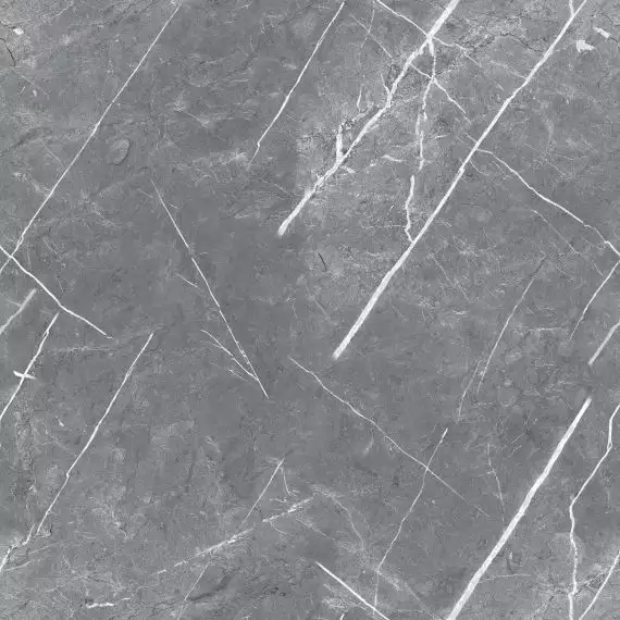 R_PR1019 Керамогранит Carnico Grey Polished 60x60
