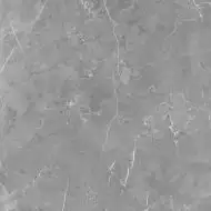 R_PR1020 Керамогранит Marmo Pulpis Polished 60x60