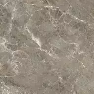 R_PR1023 Керамогранит Olympia Grey Polished 60x60