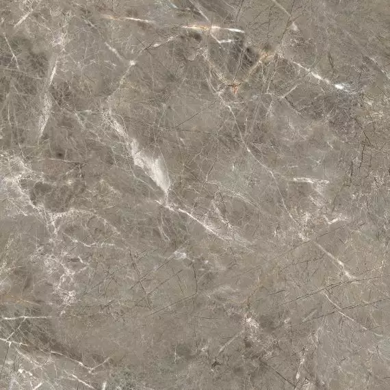 R_PR1023 Керамогранит Olympia Grey Polished 60x60
