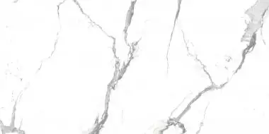 R_PR2001 Керамогранит Alps Statuario Polished 60x120