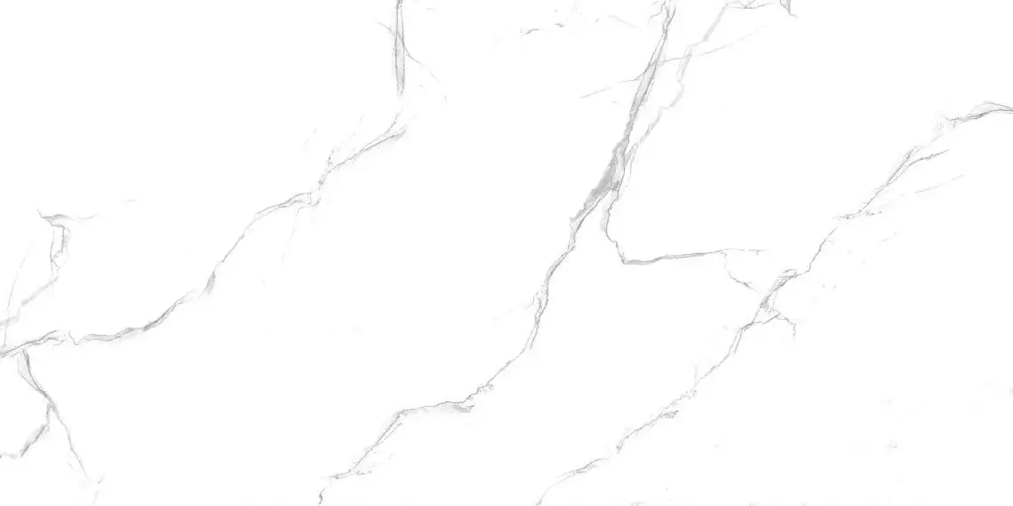 R_PR2003 Керамогранит Unico White Polished 60x120