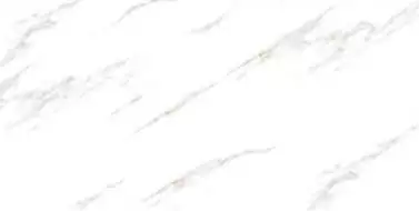Radial Statuario Polished 60x120