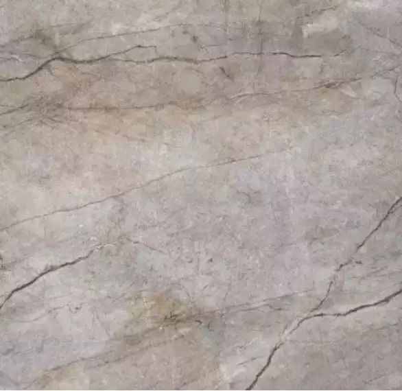 Rain Forest Natural Pulido 120x120