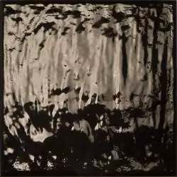 Rain Nero 22.3x22.3
