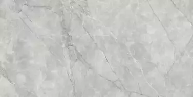 Ranchi Luster 30x60