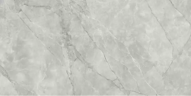 Ranchi Luster 30x60