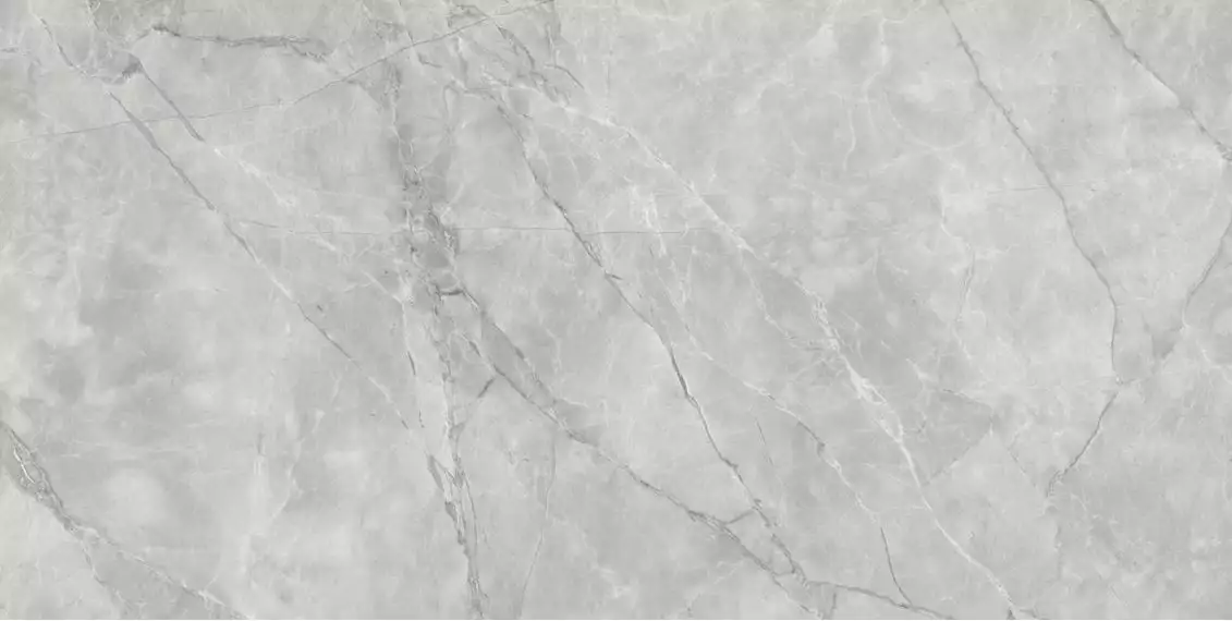 Ranchi Luster 30x60