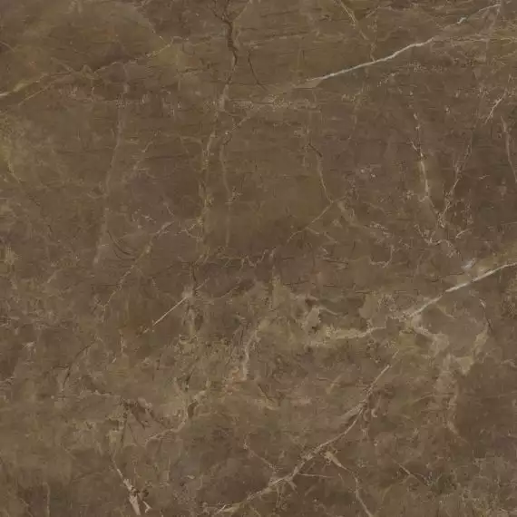 Rapid Brown 60x60