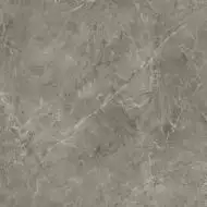 Rapid Grys 60x60