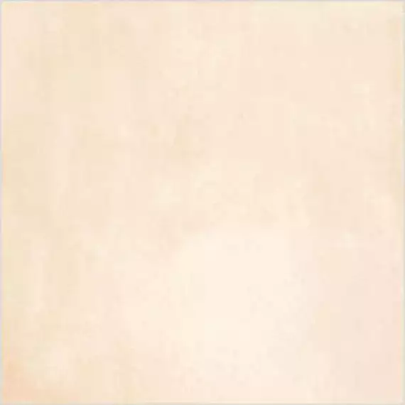 Rare Ivory 60x60