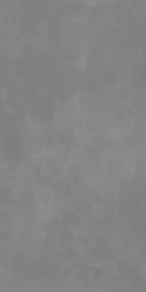 Raw Steel Grey Punch 60x120
