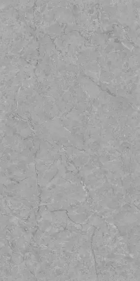 Refine Grey Expo Matt Carving 60x120