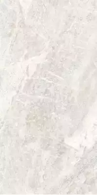 Reims Светло-серая 600x1200