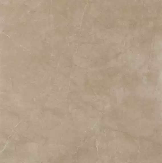 Reness Gold 60*60
