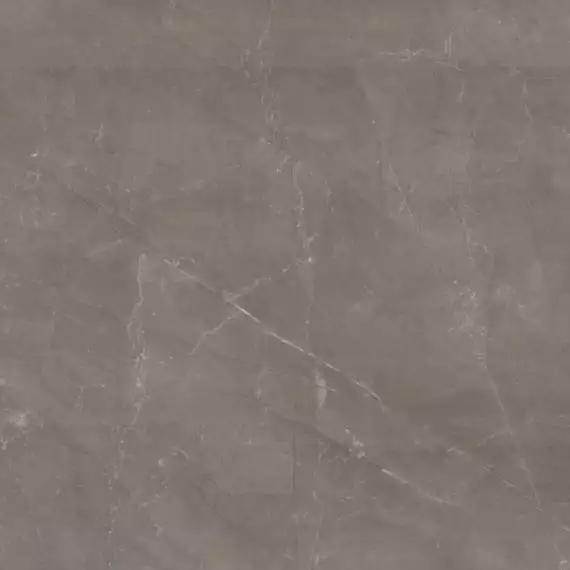 Reness Gris 60*60