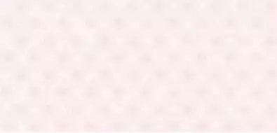 Rev. Fragance Rose 30x60