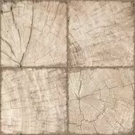 Ringwood Tik Brown 2 GP6RIT21 Керамогранит 41*41