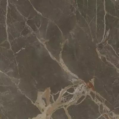Riscal Brown Pulido 120x120