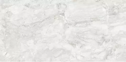 Rizi Silver Carving 60x120